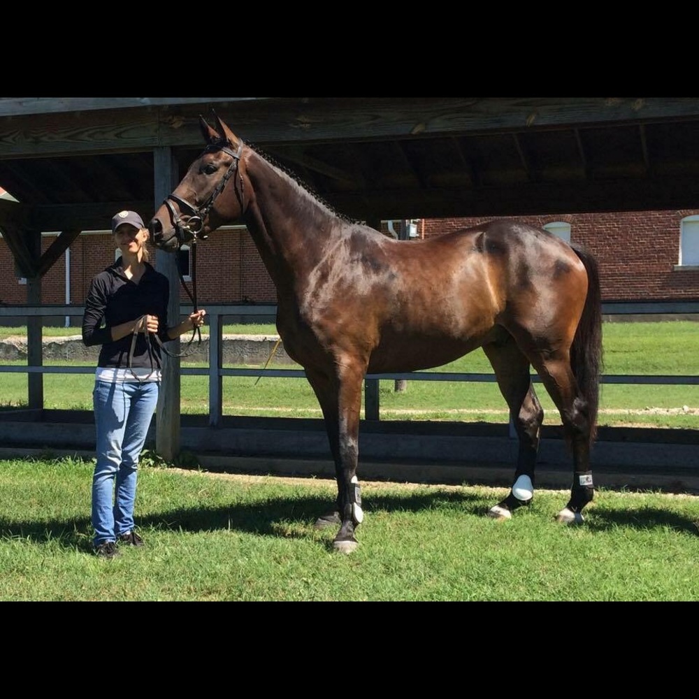 Meet your Posher, Stephanie